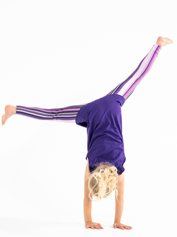 Trikoot | NS-142 Purple Stripe